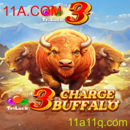 Descubra o Empolgante Mundo de 3ChargeBuffalo
